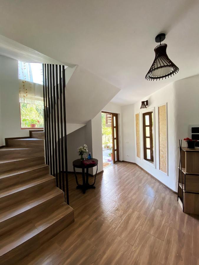 Vila Sorina Borşa Eksteriør billede