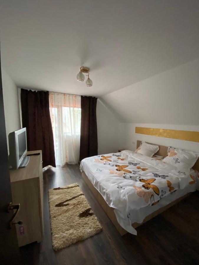 Vila Sorina Borşa Eksteriør billede