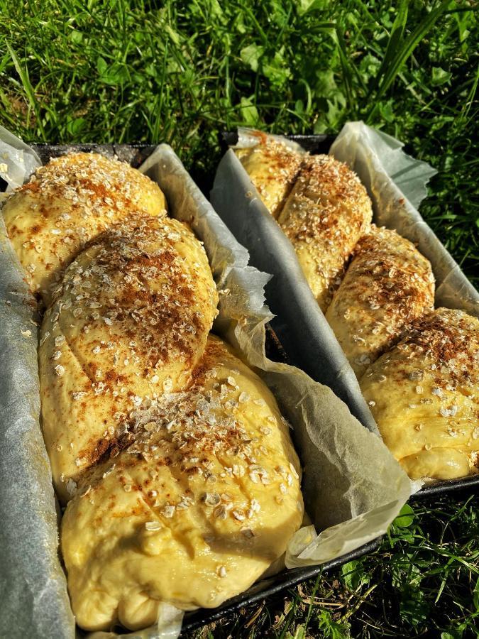 Vila Sorina Borşa Eksteriør billede