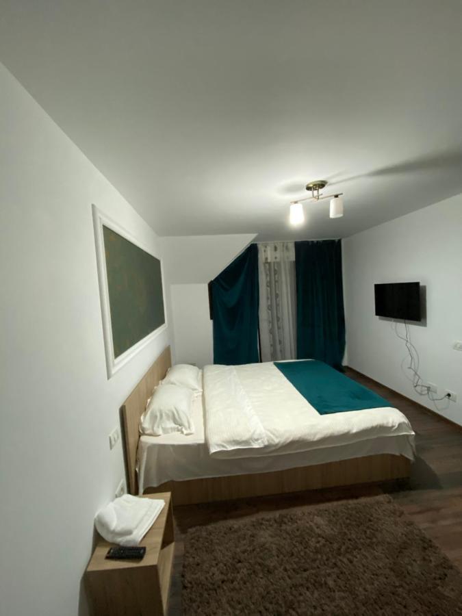 Vila Sorina Borşa Eksteriør billede