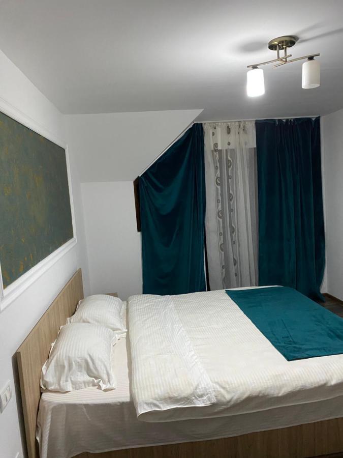 Vila Sorina Borşa Eksteriør billede